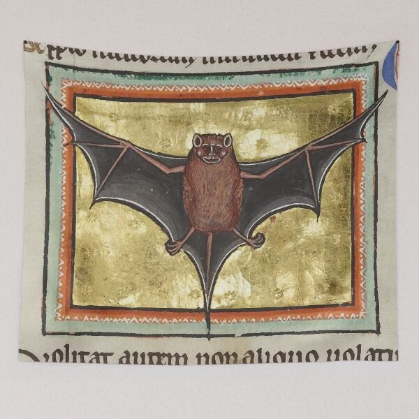 Item preview, BAT Medieval Bestiary, Fantastic Animal in Red Black Gold  designed and sold by BulganLumini.
