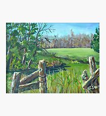 Pasture Photographic Print