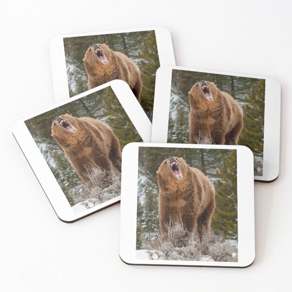 Item preview, Grizzly Bear designed and sold by Gerard Fornarotto.