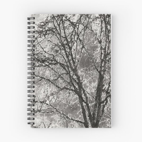 Item preview, A Study Of A Tree No II designed and sold by ArtOfE.