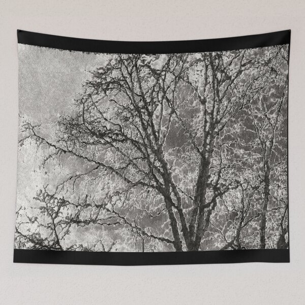 Item preview, A Study Of A Tree No II designed and sold by ArtOfE.