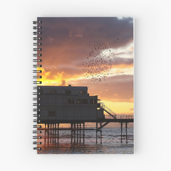 Item preview, Sunset starlings designed and sold by GreyFeatherPhot.