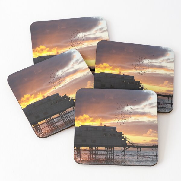 Item preview, Sunset starlings designed and sold by GreyFeatherPhot.
