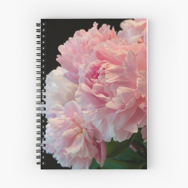 Artikelvorschau, Rosa Pfingstrosen-Leidenschaft entworfen und verkauft von nancyjcreates.