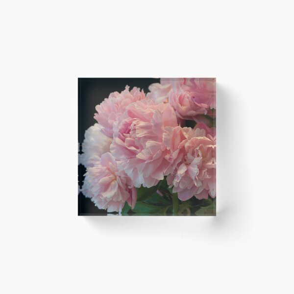 Item preview, Pink Peony Passion designed and sold by nancyjcreates.