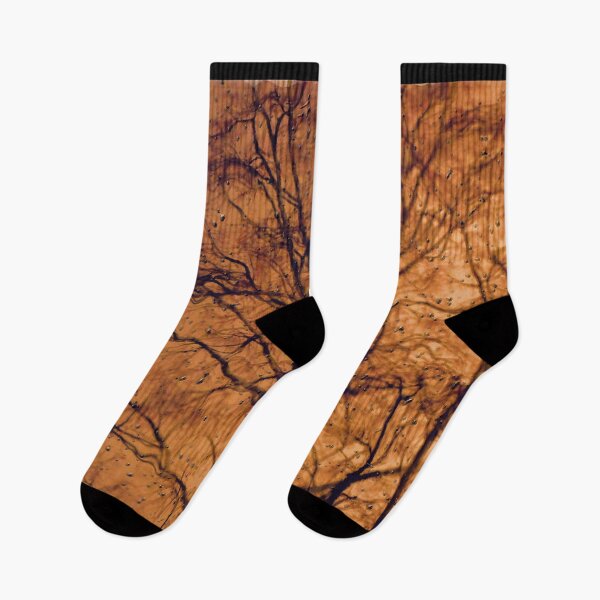 Item preview, A Study Of A Tree No I designed and sold by ArtOfE.