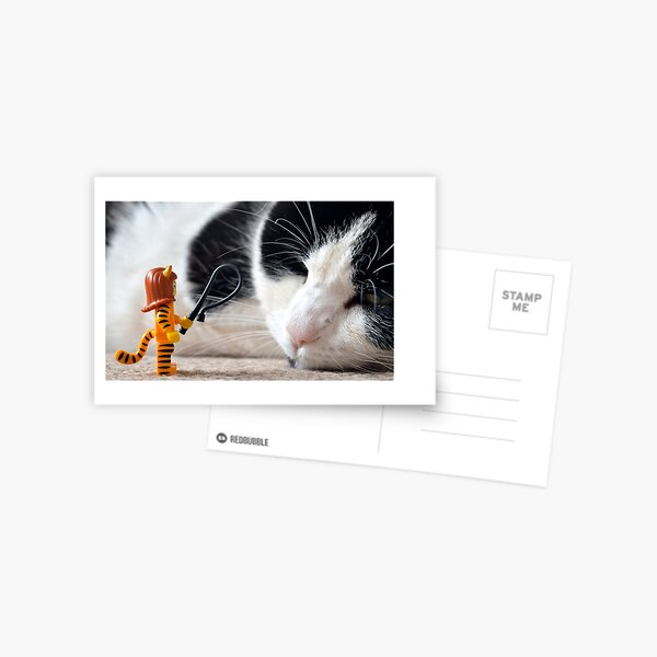 Cat-Woman Postcard