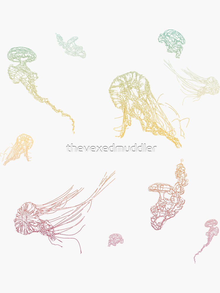 Rainbow Jellyfish by thevexedmuddler