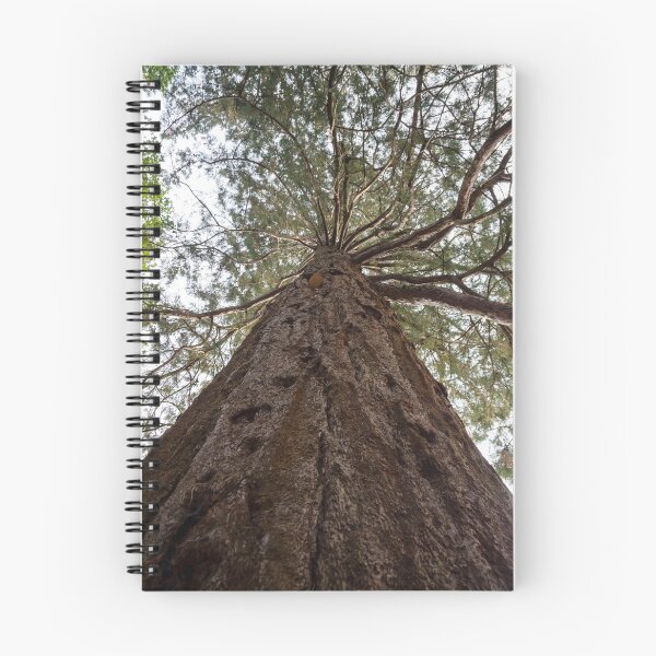 Item preview, Giant Redwood Tree designed and sold by SMartin.