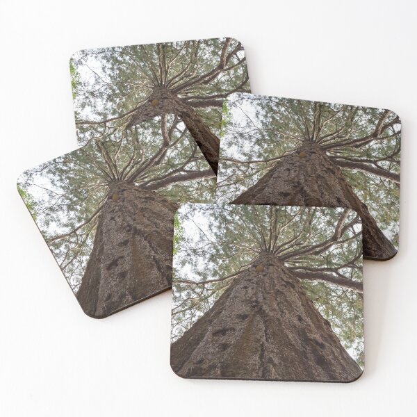 Item preview, Giant Redwood Tree designed and sold by SMartin.