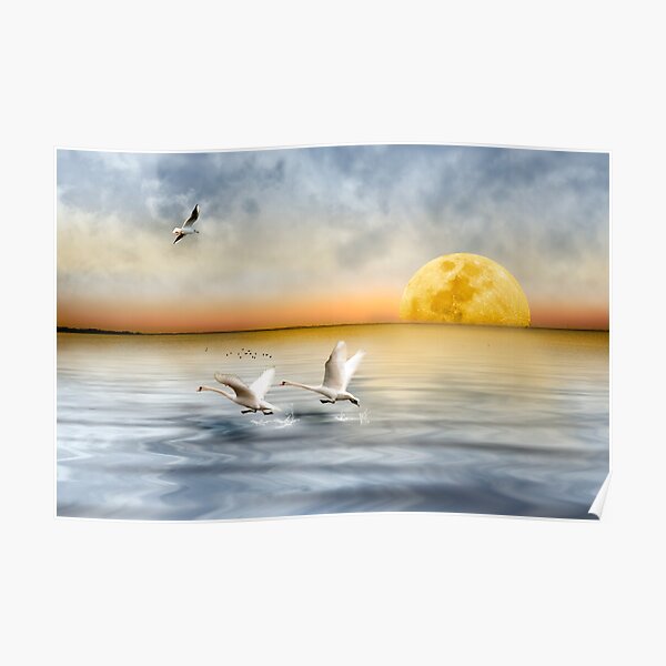 Take off Poster