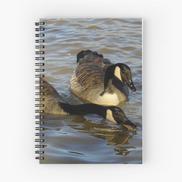 Item preview, Geese Feeding On bread designed and sold by WildestArt.