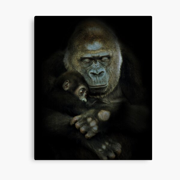 Loved Canvas Print
