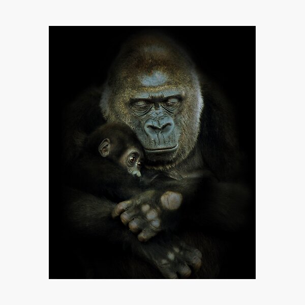 Loved Photographic Print