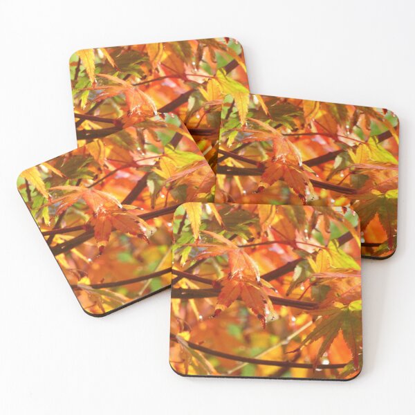 Item preview, Golden Acer after the rain designed and sold by Sue Gurney.
