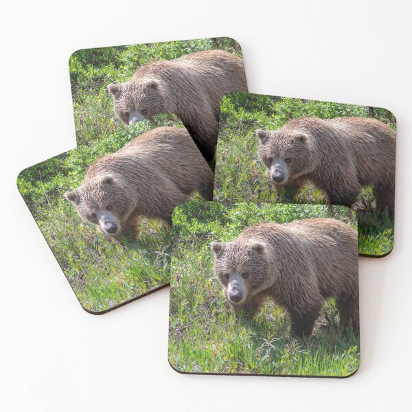 Item preview, GrizzlyBear in Mradow designed and sold by AndyKazie.