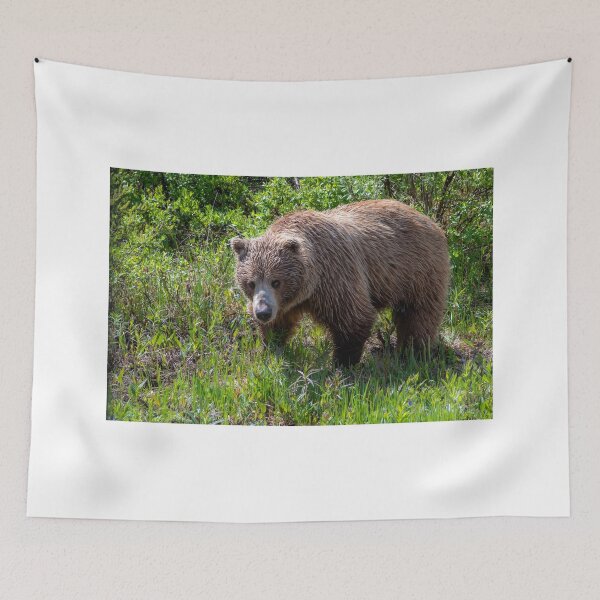 Item preview, GrizzlyBear in Mradow designed and sold by AndyKazie.