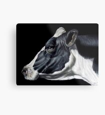 Holstein Friesian Dairy Cow Portrait Metallbild
