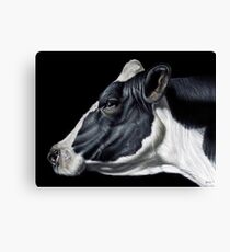 Holstein Friesian Dairy Cow Portrait Canvas Print
