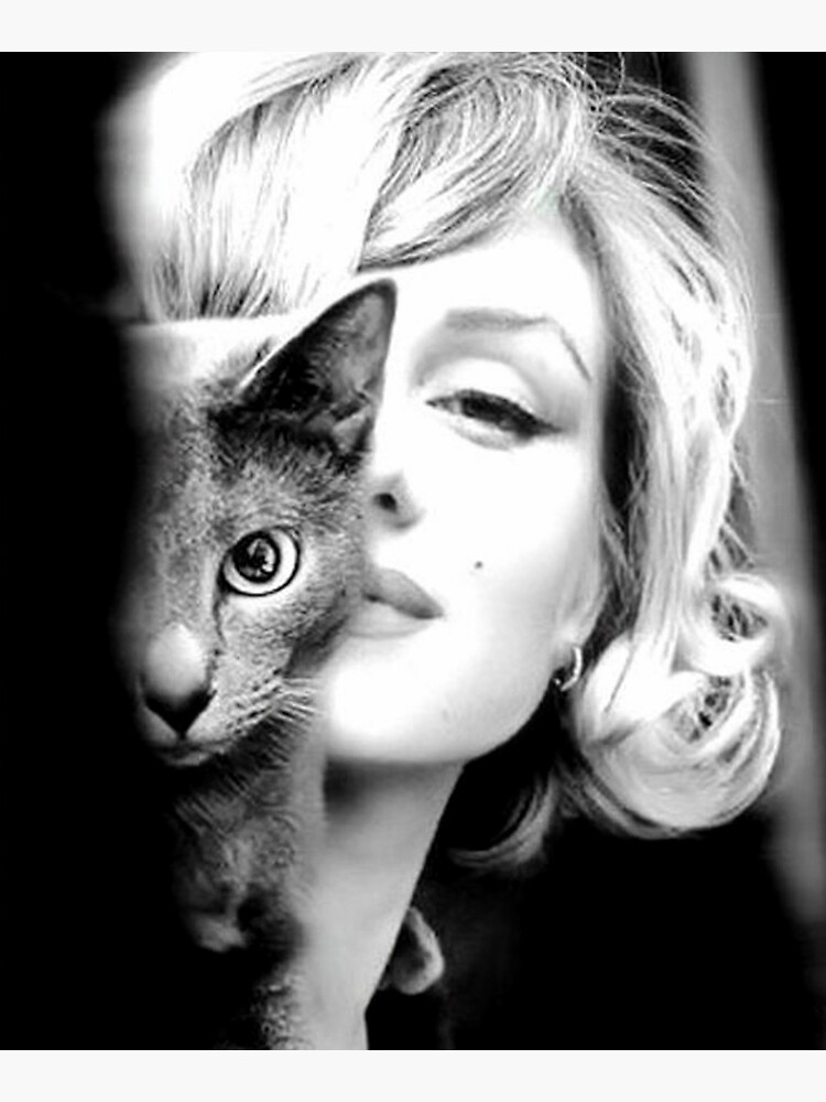 Marilyn Monroe with Cat, Vintage Black and White Photograph by modernretro