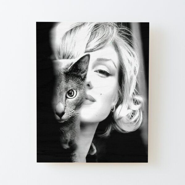 Marilyn Monroe mit Katze, Vintage Schwarzweiss-Fotografie Aufgezogener Druck auf Holz