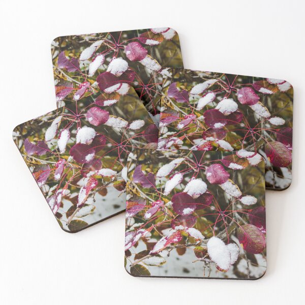Item preview, Autumn greets winter designed and sold by SRosuphotos.