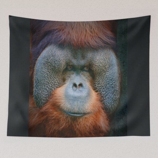 Item preview, Rudi designed and sold by Savannah Gibbs.