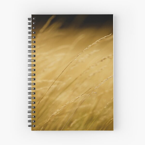 Item preview, Grass blowing in the wind, Richmond Park, UK designed and sold by Andre Rickerby.