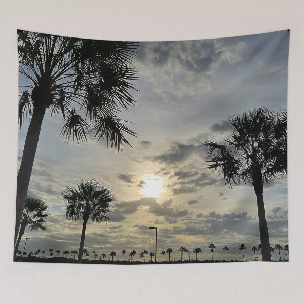 Item preview, Morning Palms designed and sold by PhilipBrown.