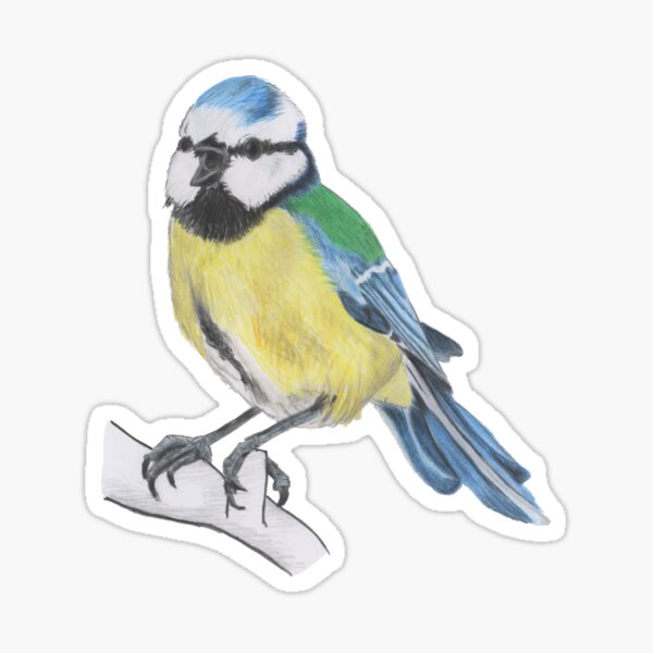Bluetit 3/4 Sticker