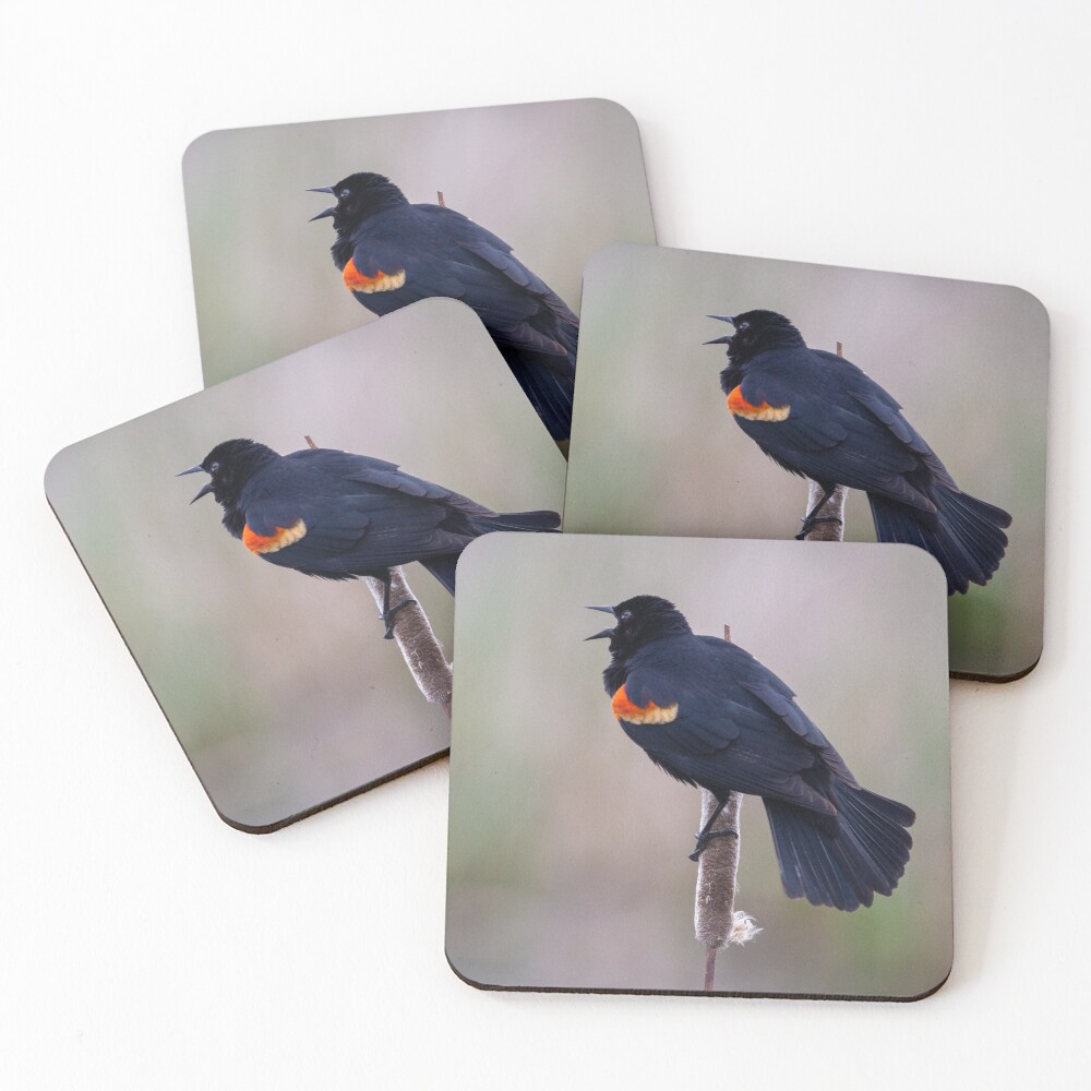 Item preview, Coasters (Set of 4) designed and sold by AvocaSpring.