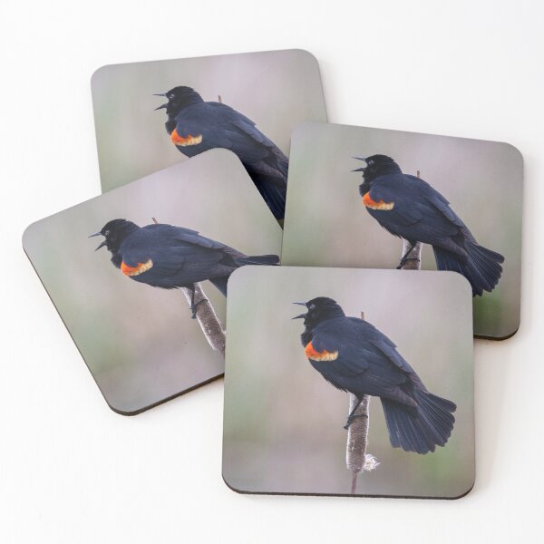 Item preview, Redwing Blackbird, Spring Song designed and sold by AvocaSpring.