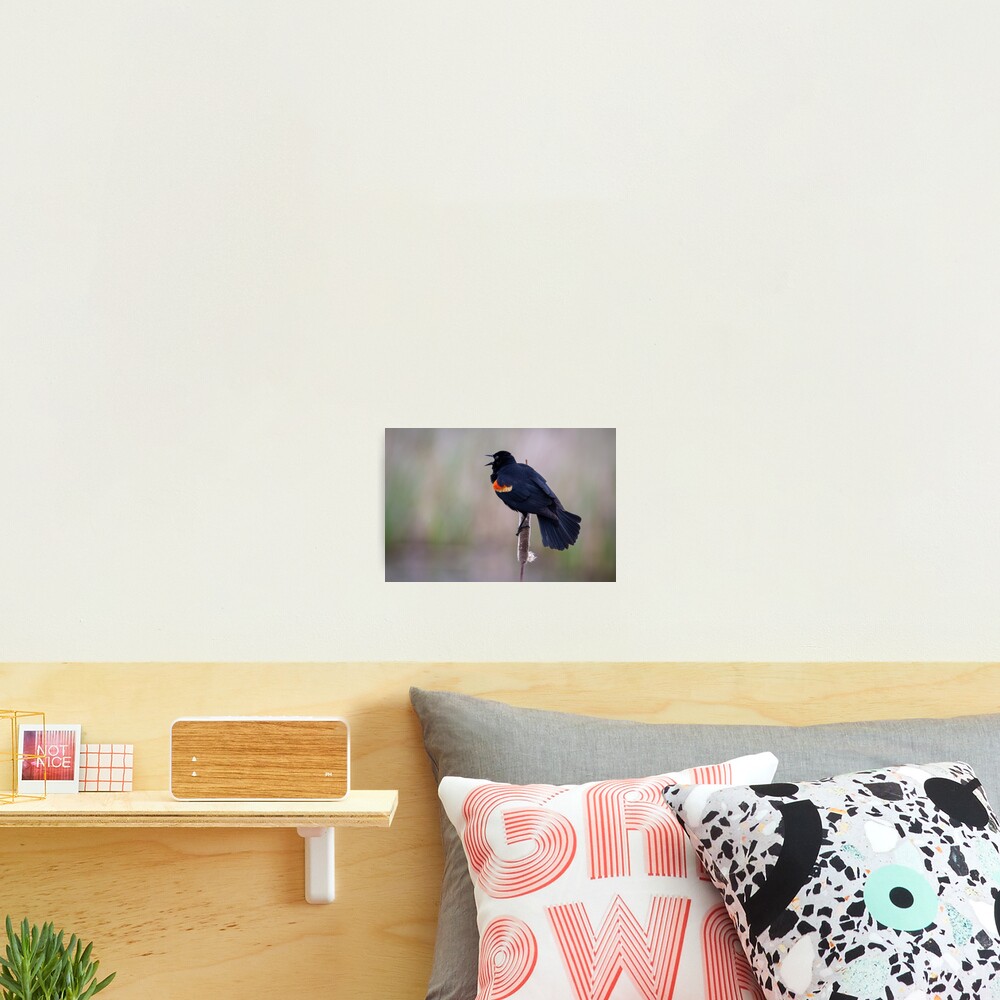 Item preview, Photographic Print designed and sold by AvocaSpring.