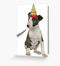 Bull Terrier Birthday Greeting Card