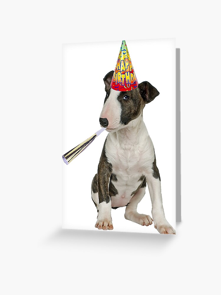 Bull Terrier Wrapping Paper Happy Birthday, Zazzle