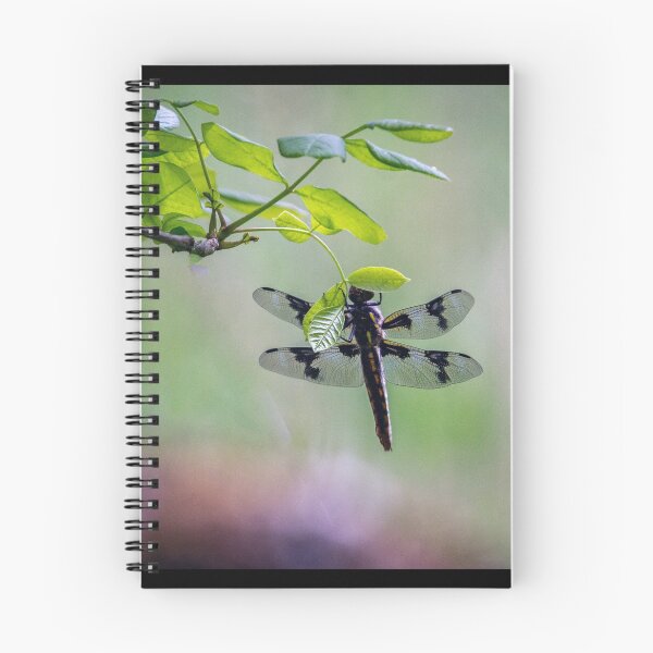 Item preview, Dragonfly designed and sold by AvocaSpring.