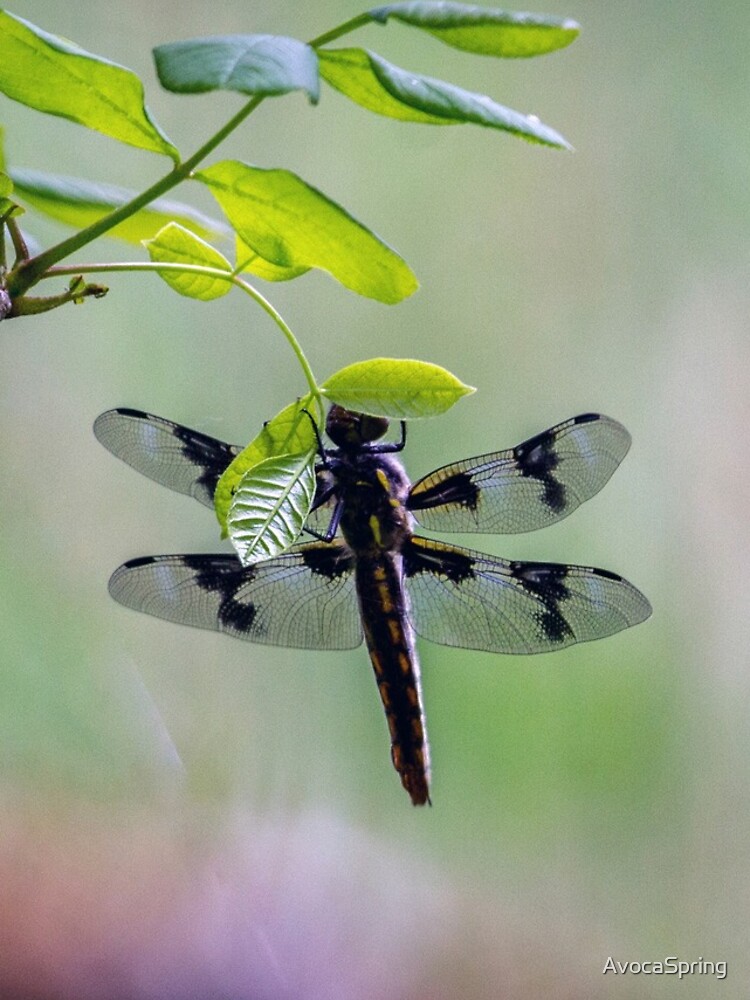Thumbnail 4 of 4, iPhone Case, Dragonfly designed and sold by AvocaSpring.