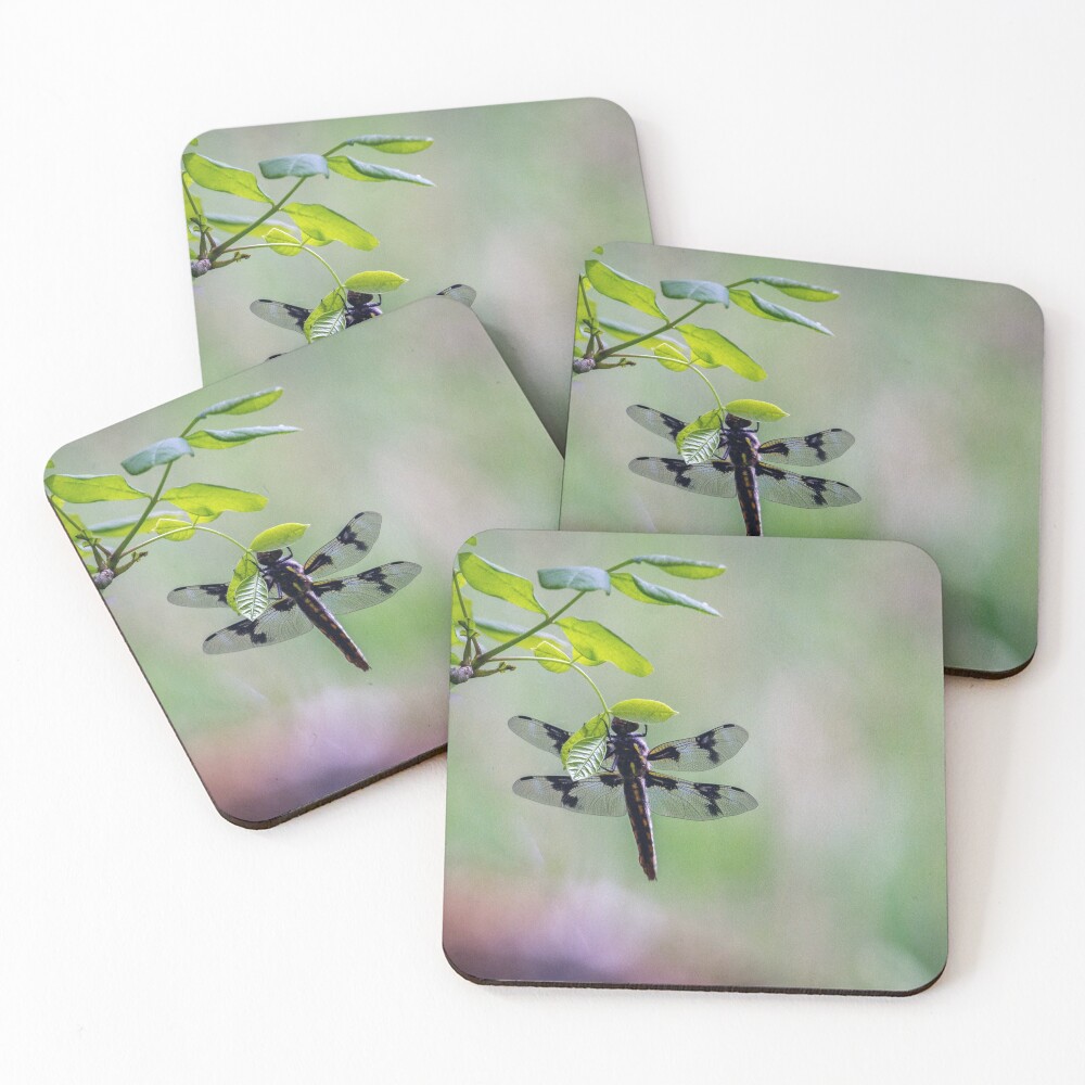 Item preview, Coasters (Set of 4) designed and sold by AvocaSpring.