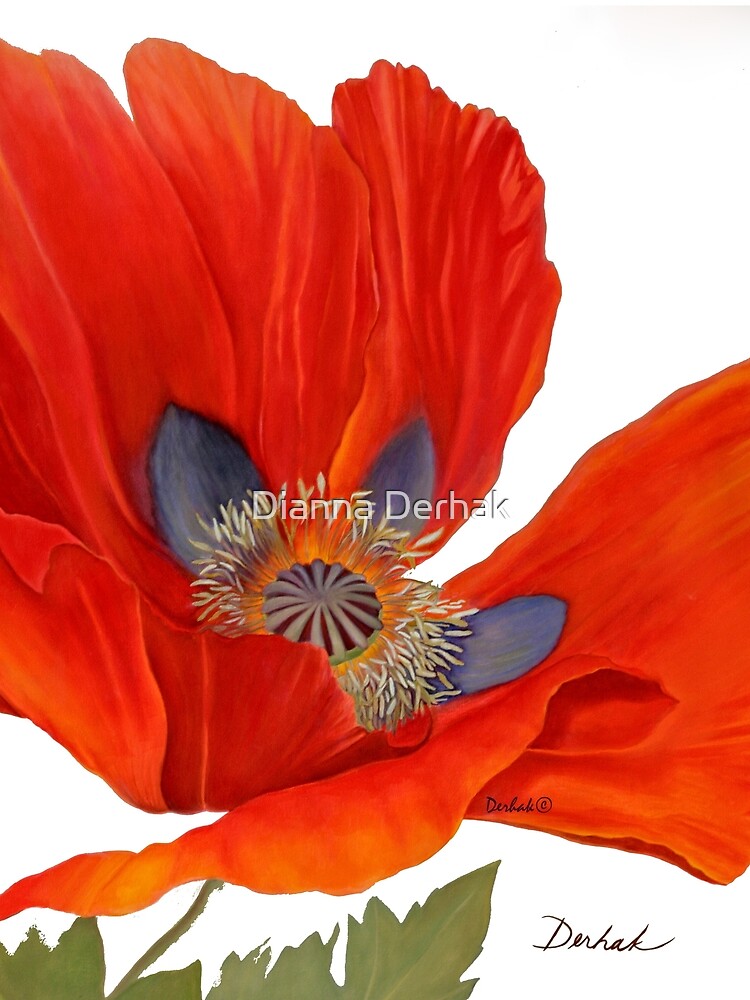 Orange Poppy By Dianna Derhak by DiannaDerhak