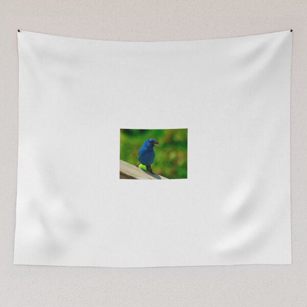 Item preview, Blue Boy II designed and sold by Brenda Burnett.