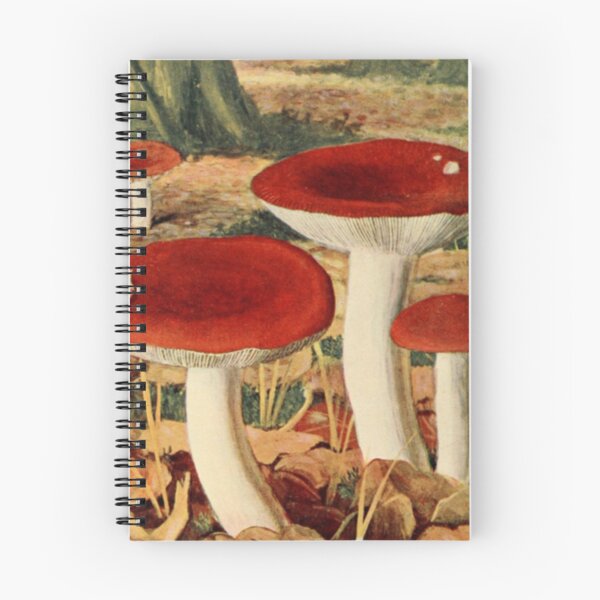 Item preview, Naturalist Mushrooms designed and sold by BlueSpecsStudio.