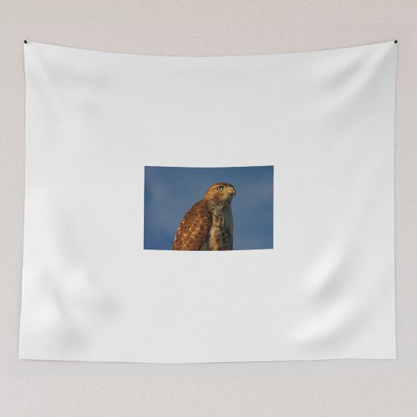 Item preview, Look of Wonder designed and sold by Brenda Burnett.
