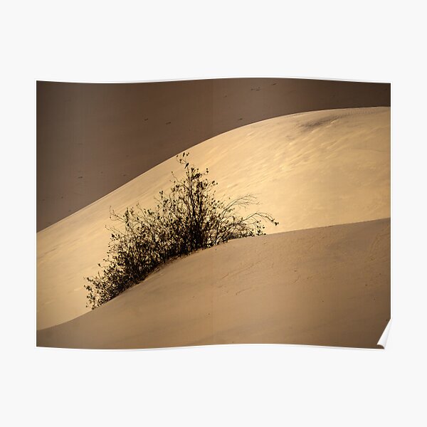 The Desert Poster