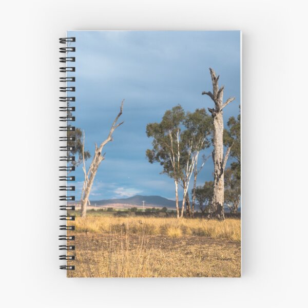 Item preview, A long view landscape designed and sold by Clare Colins.
