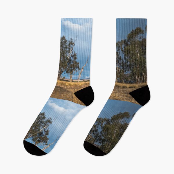 Item preview, A long view landscape designed and sold by Clare Colins.