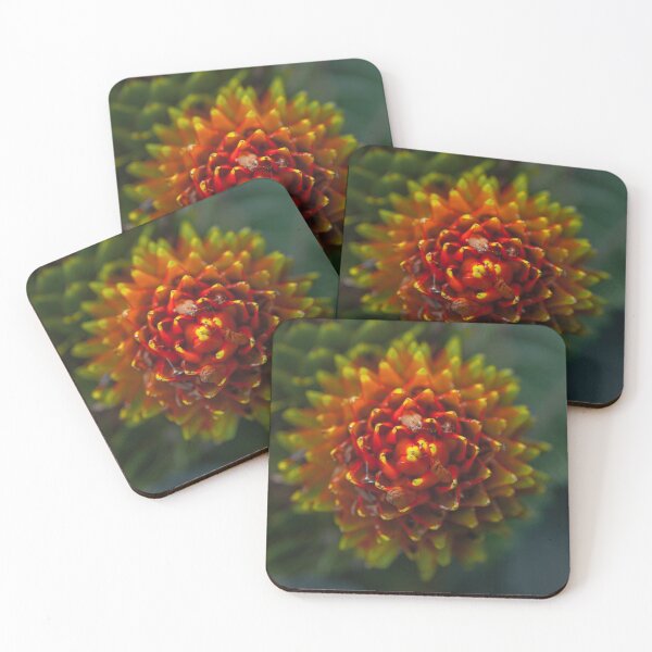 Item preview, Natural Symmetry  designed and sold by Andrew Crandall.