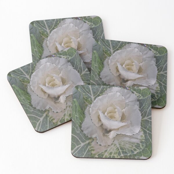 Item preview,  Cabbage designed and sold by Elaine Bawden.