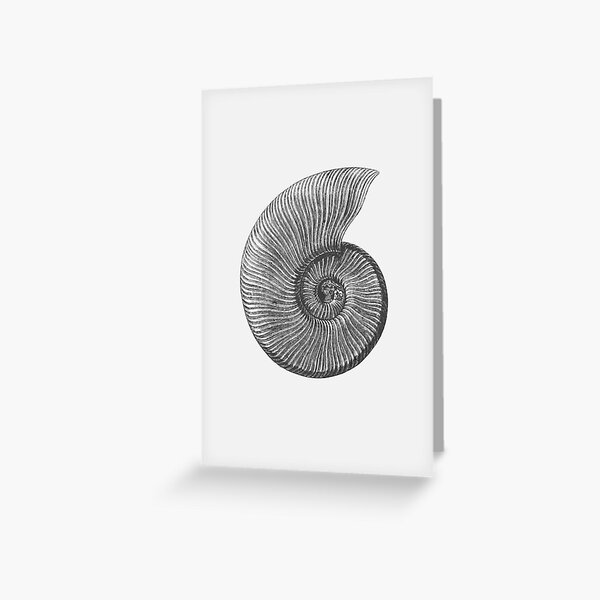 Ammonite Fossil Greeting Card