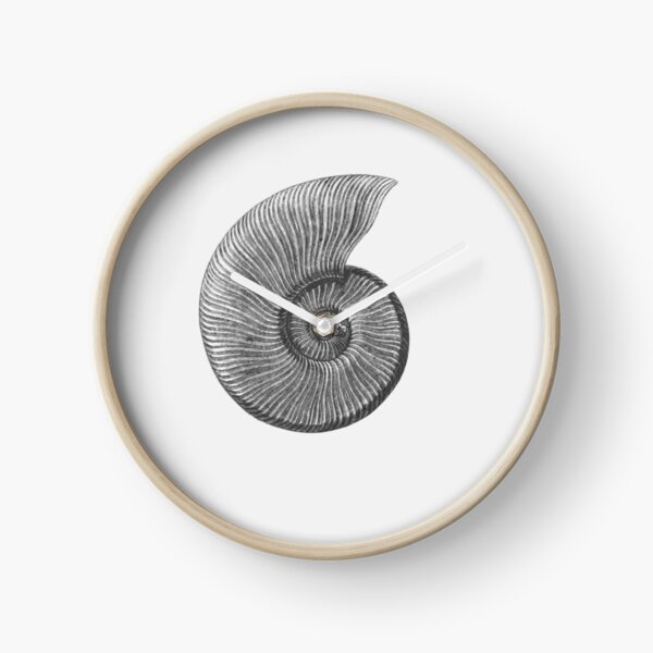 Ammonite Fossil Clock