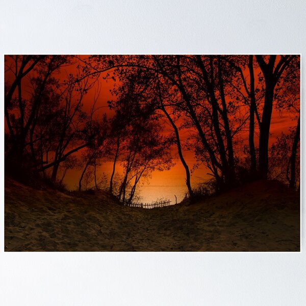 Item preview, Sunset trees at Sleeping Bear Dunes designed and sold by danieltrue.